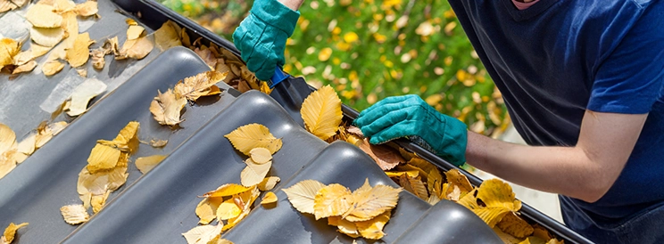 Eavestrough Cleaning